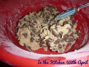 Decadent Chocolate Chip Cookie Batter