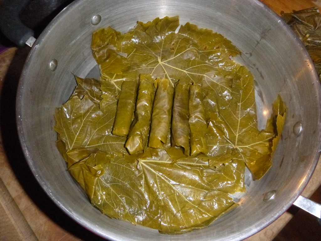 Filling the pan with the Yalanci Dolmas 