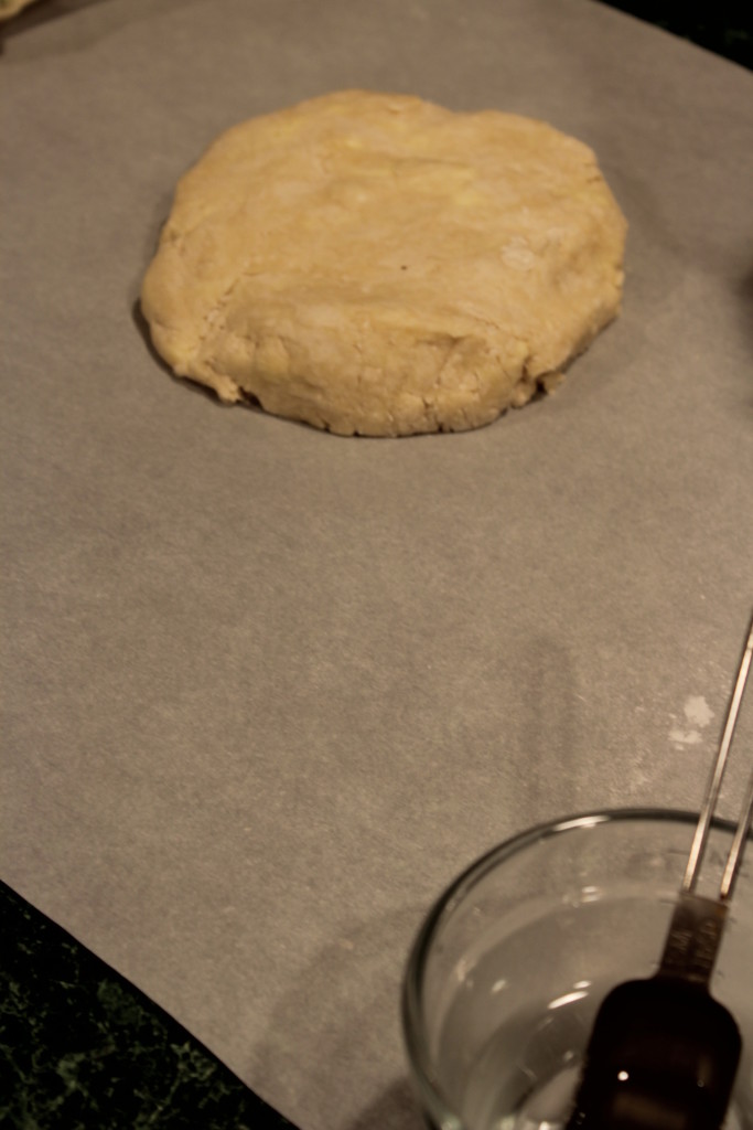 Pie Dough Disk