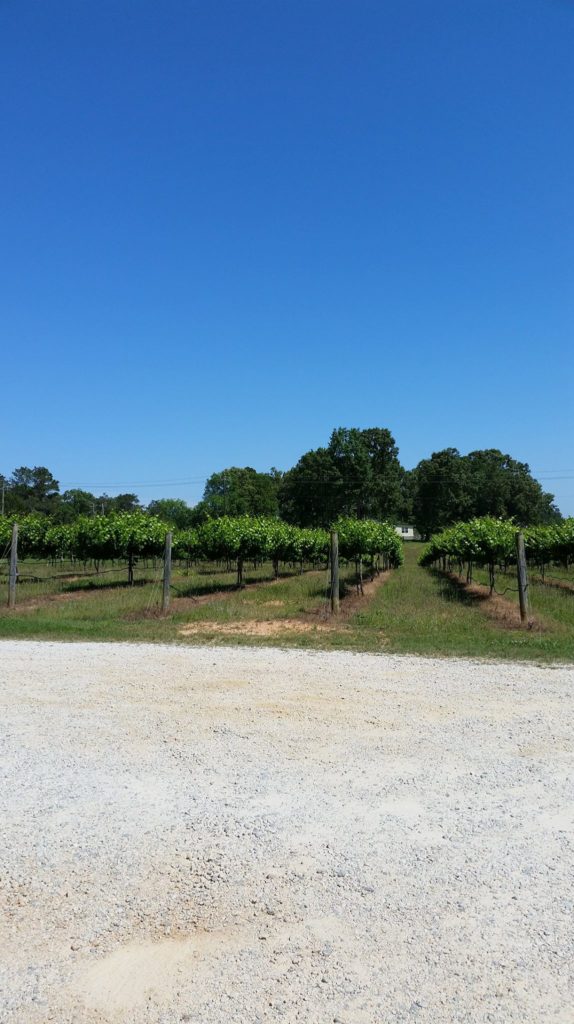 Fruithurst Winery Vineyards