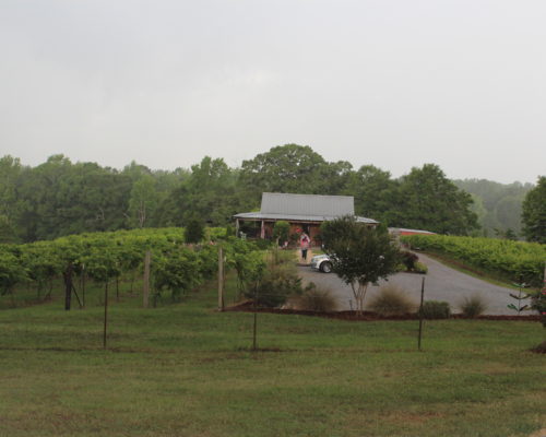 Hidden Meadows in the Rain