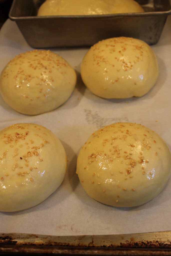 Best Ever Homemade Burger Buns before oven